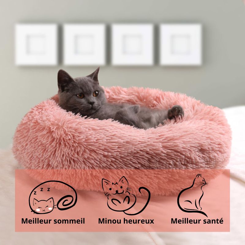 Pouf Pour Chat | KITTYBED