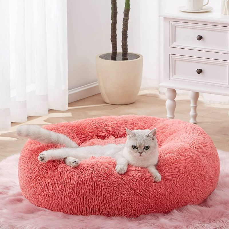 Pouf Pour Chat | KITTYBED